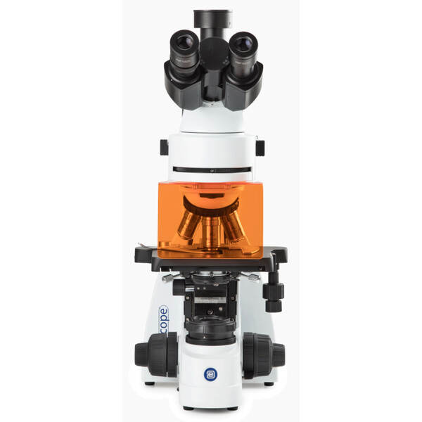 Euromex Microscoop BS.3153-PLFi, trino, 40x-1000x
