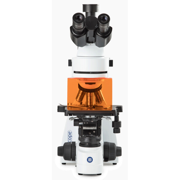 Euromex Microscoop Mikroskop BS.3153-PLFi, trino, 40x-1000x