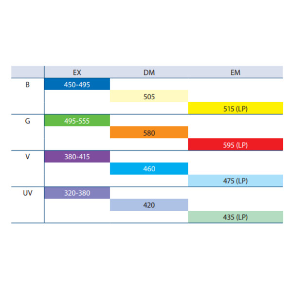Euromex Microscoop BS.3153-PLFi, trino, 40x-1000x
