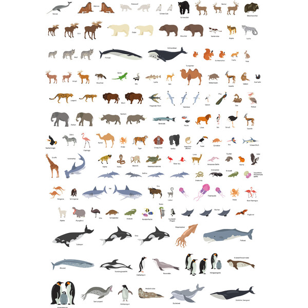 GeoMetro Kinderkaart De wereld van dieren (84 x 60 cm)