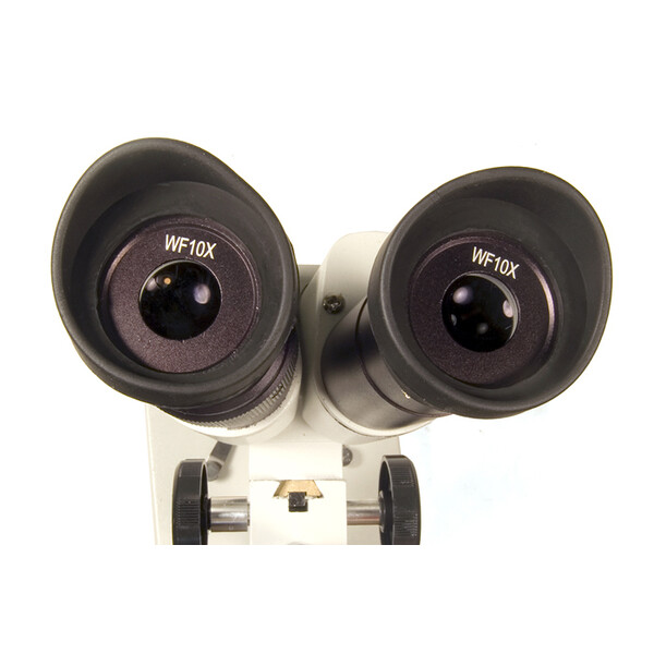 Levenhuk Stereo microscoop 2ST 40x