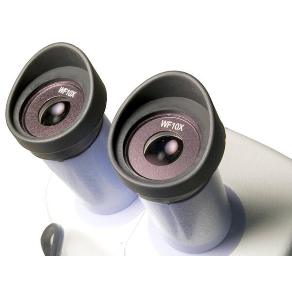 Levenhuk Stereo microscoop 5ST 20-40x LED