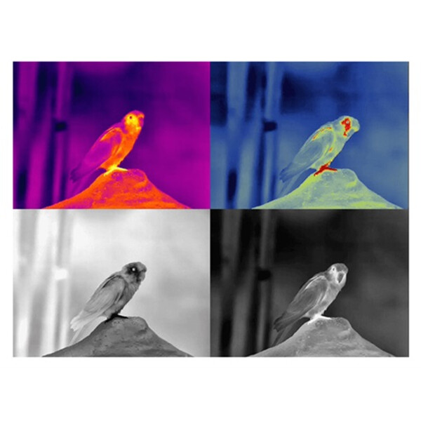Guide Warmtebeeldcamera TN430