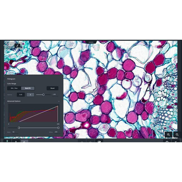 ZEISS software Labscope module Multi Channel DLic