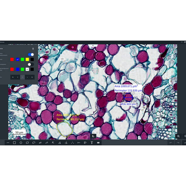 ZEISS software Labscope module Multi Channel DLic