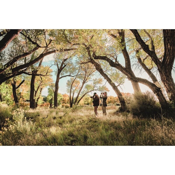 Swarovski Spotting scope AT Balance 18-45x65