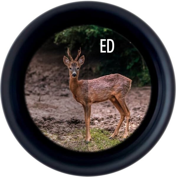 Minox Verrekijkers X-Tour 10x42