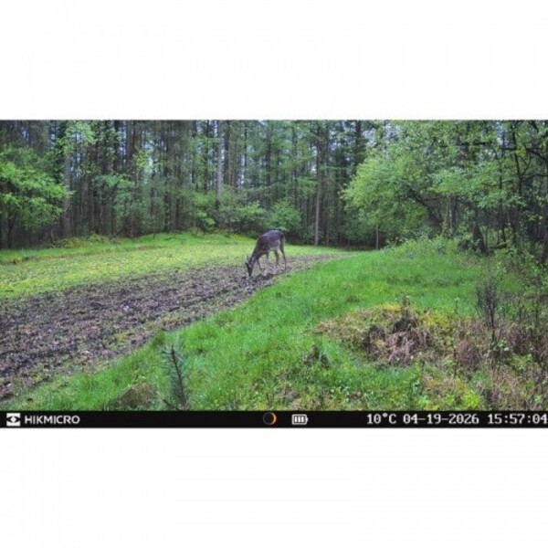 HIKMICRO Wildlife camera T16