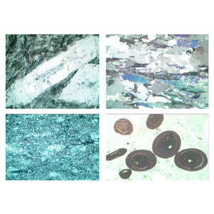 LIEDER Dun gesteenteslijpsel serie V, sedimentgesteenten (sedimenten) (22 preparaten)