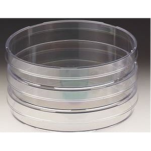 Windaus Petrischaaltjes 94x16mm, polystyreen 20 st.