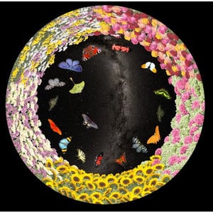 astrial Dia voor het Sega Homestar Planetarium Bloemen en Vlinders