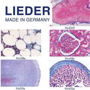 LIEDER Normale histologie van de mens, grote speciale serie, 100 preparaten (meestal gekleurd met hematoxyline-eosine)