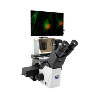 Optika omgekeerde microscoop IM-300LD4D, digitaal, FL, oneindig, plan 100x-400x, 10x/22, AL/DL, LED 400x vergroting, IOS LWD PLAN F, 4 lege filterslots