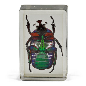 Omegon preparaten groene lieveheersbeestje