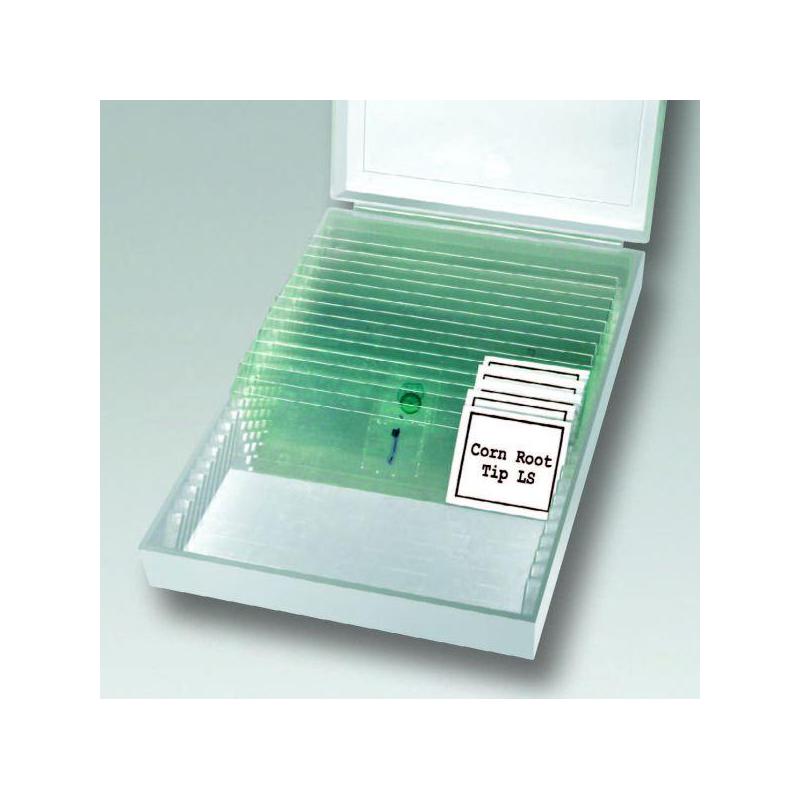 Bresser Digitale LCD microscoop, 5MP