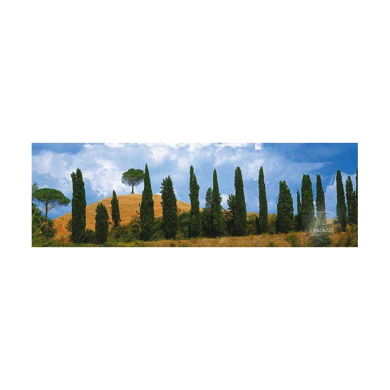Palazzi Verlag Poster Val Dórica Tuscany Leinwandprint