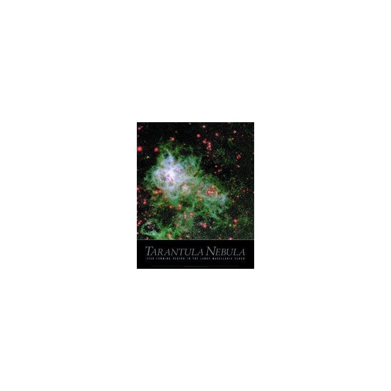 Poster Tarantula Nevel
