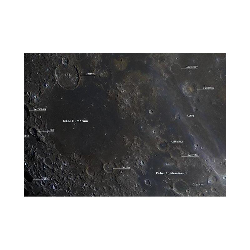 Oculum Verlag Poster De Maan