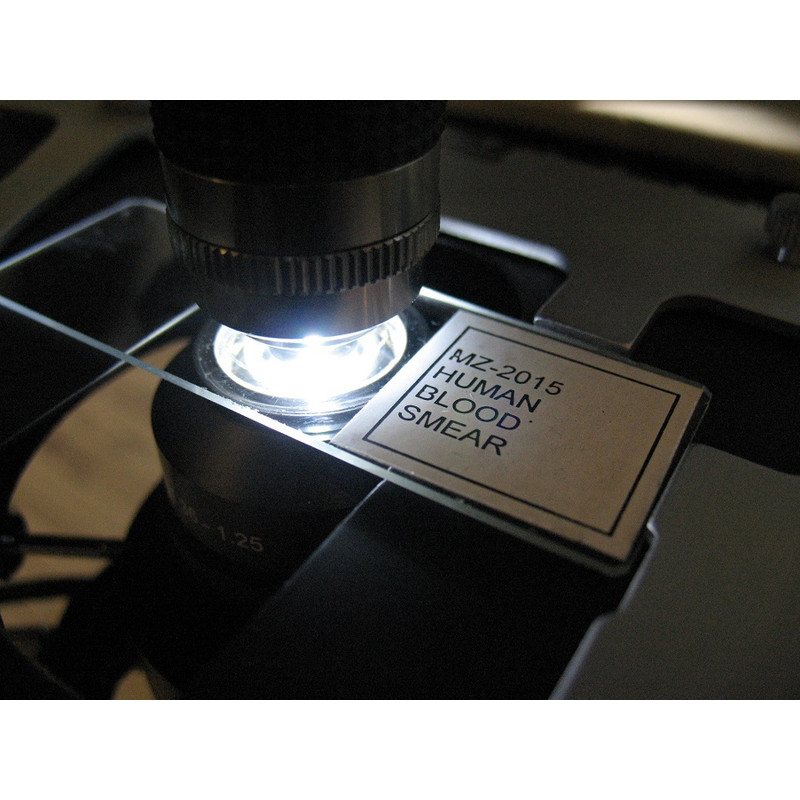 Optika microscoop B-383DK, donkerveld, trinoculair, X-LED