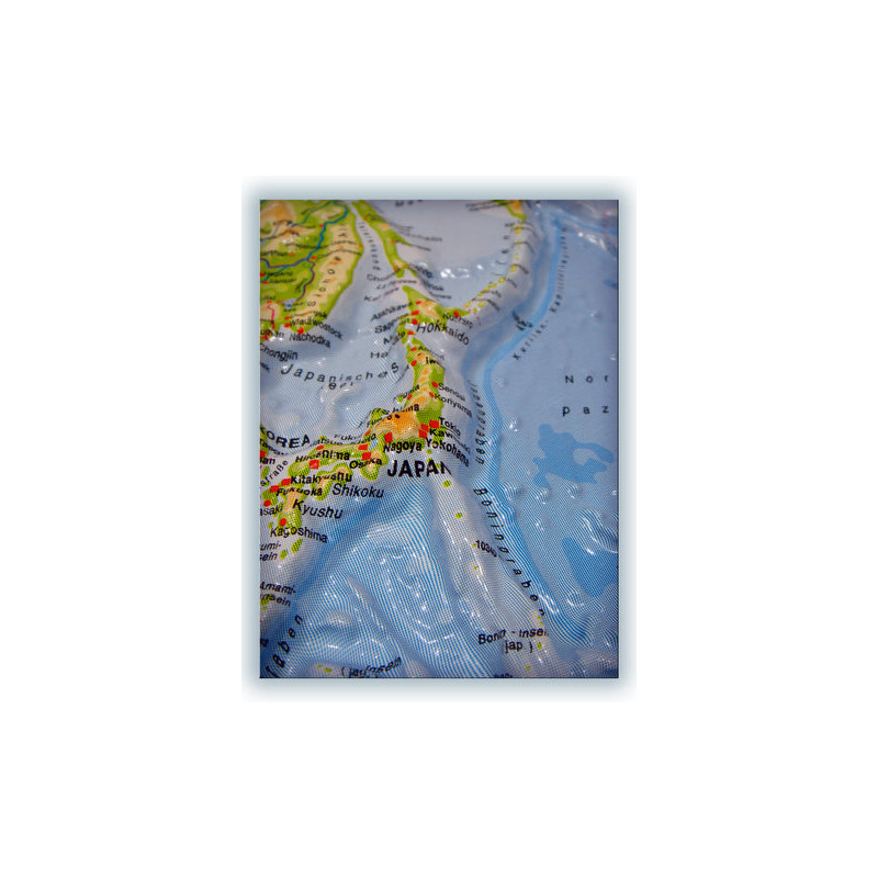 geo-institut Wereldkaart World map Relief Kaart Wereld Zilverlijn fysiek Russisch