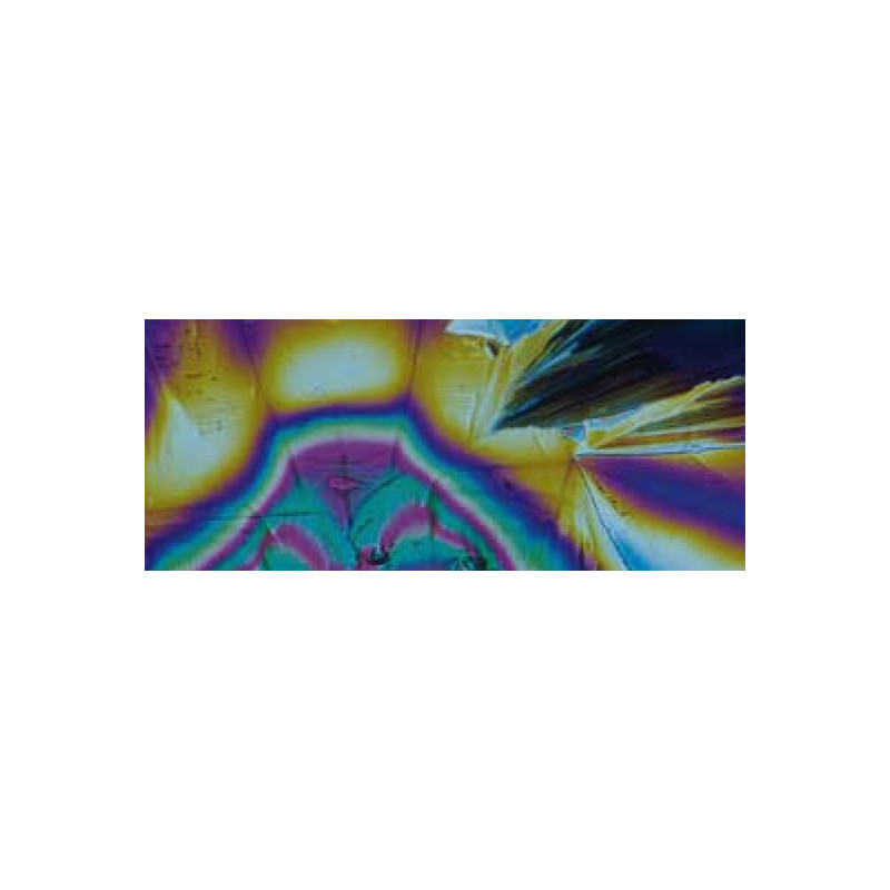 Motic Mikroskop BA310, Halogen, binokular
