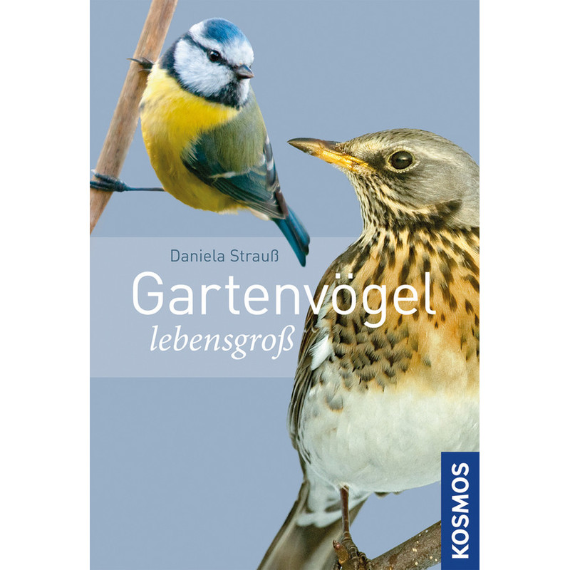 Kosmos Verlag Gartenvögel lebensgroß (Duits)