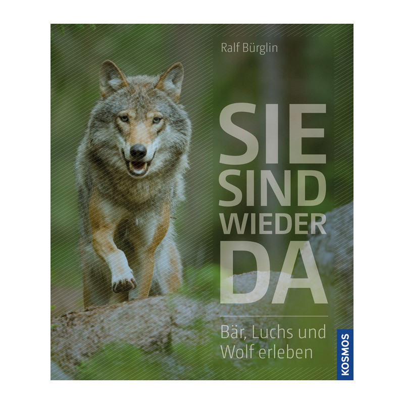 Kosmos Verlag Sie sind wieder da (Duits)