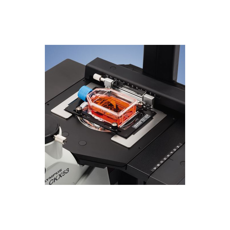 Evident Olympus Omgekeerde microscoop Olympus CKX53 IPC/IVC V1, PH, trino, infinity, achro, 10x, 20x, 40x, LED