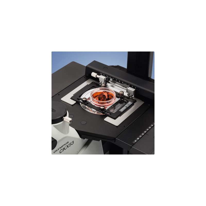 Evident Olympus Omgekeerde microscoop CKX53, trinoculair, 100x, 200x, 400x, IPC/IVC x/y-tafel