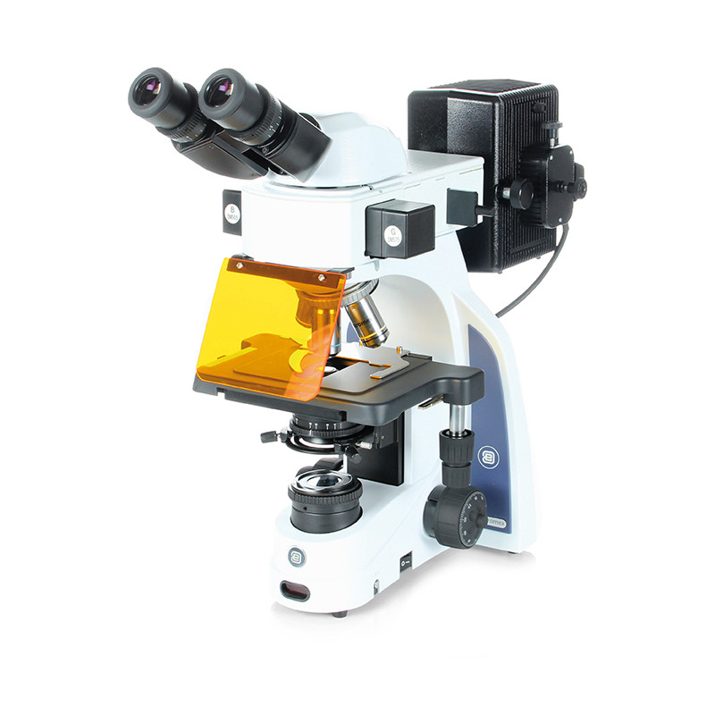 Euromex Microscoop iScope, IS.3152-EPLi/3, bino