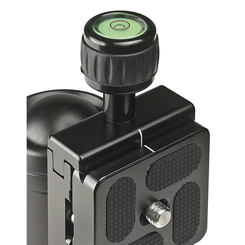 Tiltall Balhoofd BH-10