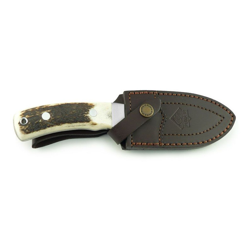 Minox Verrekijkers BL 8x56 HD Wild zwijn set