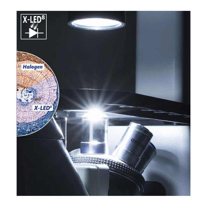 Optika microscoop IM-3FL4-UK, trino, omgekeerd, FL-HBO, B&G filter, IOS LWD U-PLAN F, 100x-400x, UK