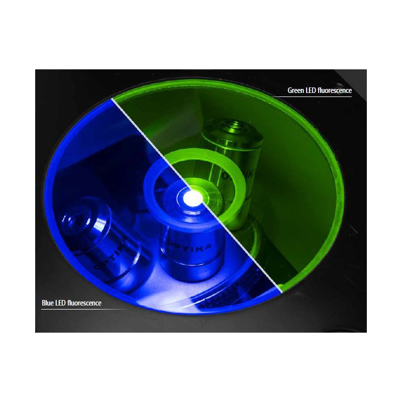 Optika microscoop IM-3FL4-SWIV, trino, invers, FL-HBO, B&G filter, IOS LWD U-PLAN F, 100x-400x, CH, IVD
