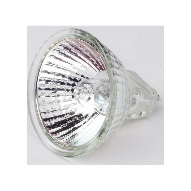 Motic Halogeenlamp, vervanging, 21V/10W, invallend licht, voor R2GG-statief (SMZ-161)