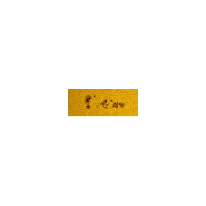 Thousand Oaks Zonnefilters Solarlite Solar Filters 8" SCT