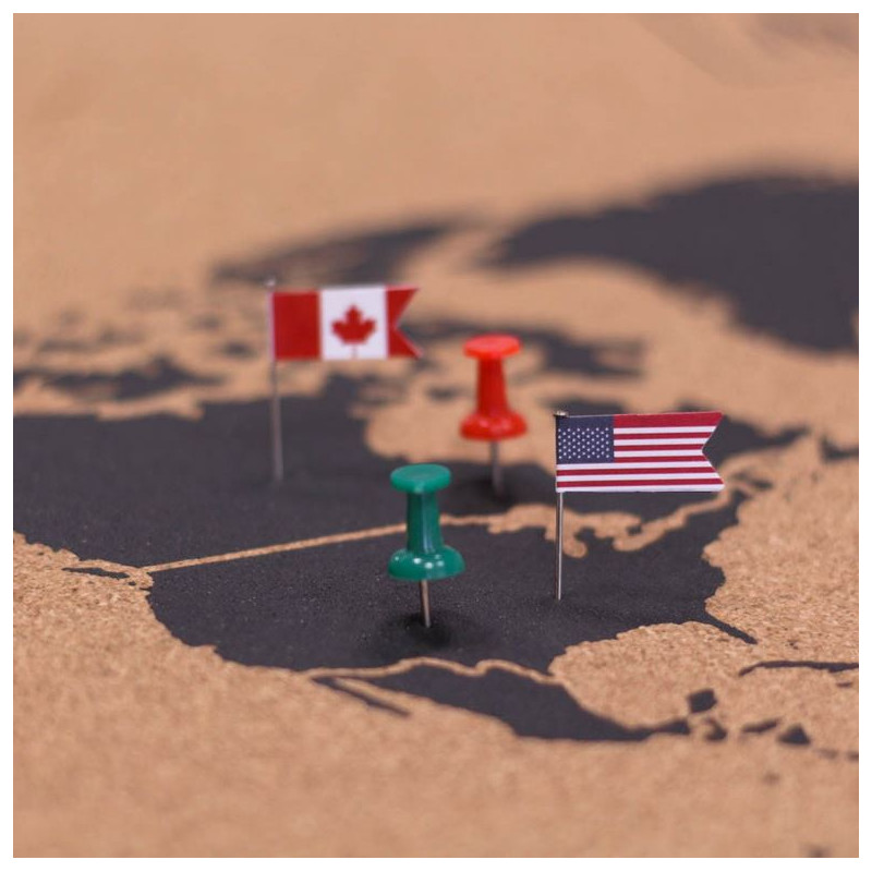 Miss Wood Wereldkaart Woody Map Natural Cork L black