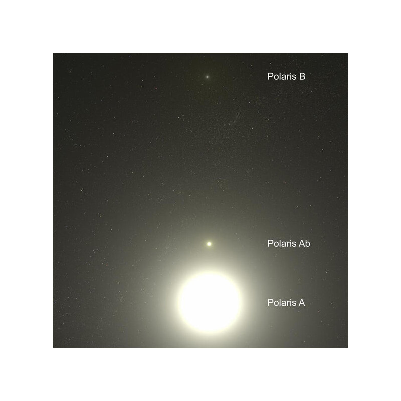 Celestial Buddies Polaris Ab en Polaris B