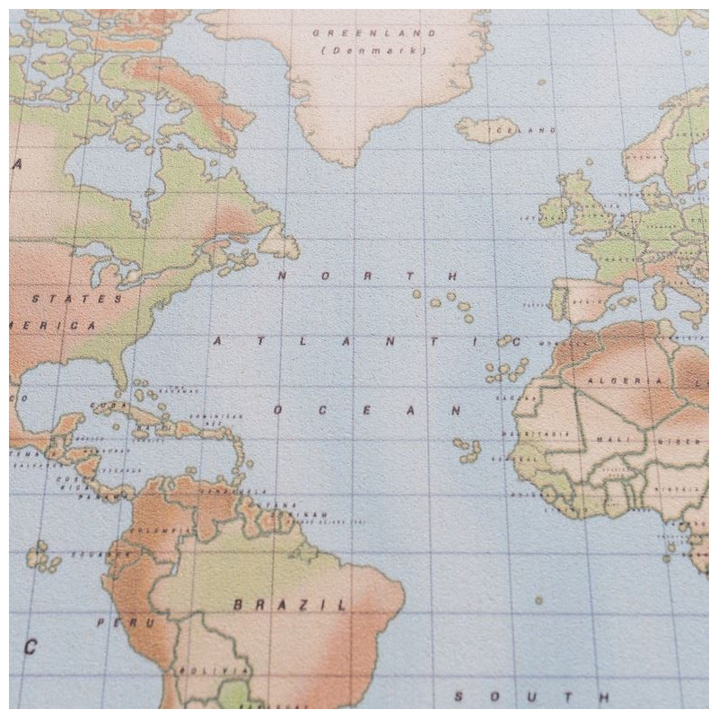 Miss Wood Wereldkaart Boskaart Aquarel Fysiek L