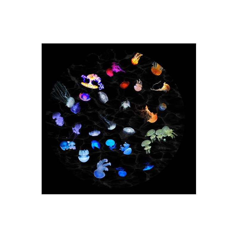 astrial Dia voor de Sega Homestar Planetarium Jellyfish