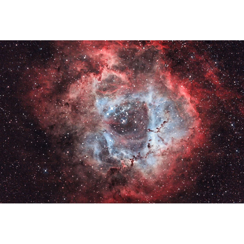 OPT Triad Ultra Vierband Smalband Filters 1,25".