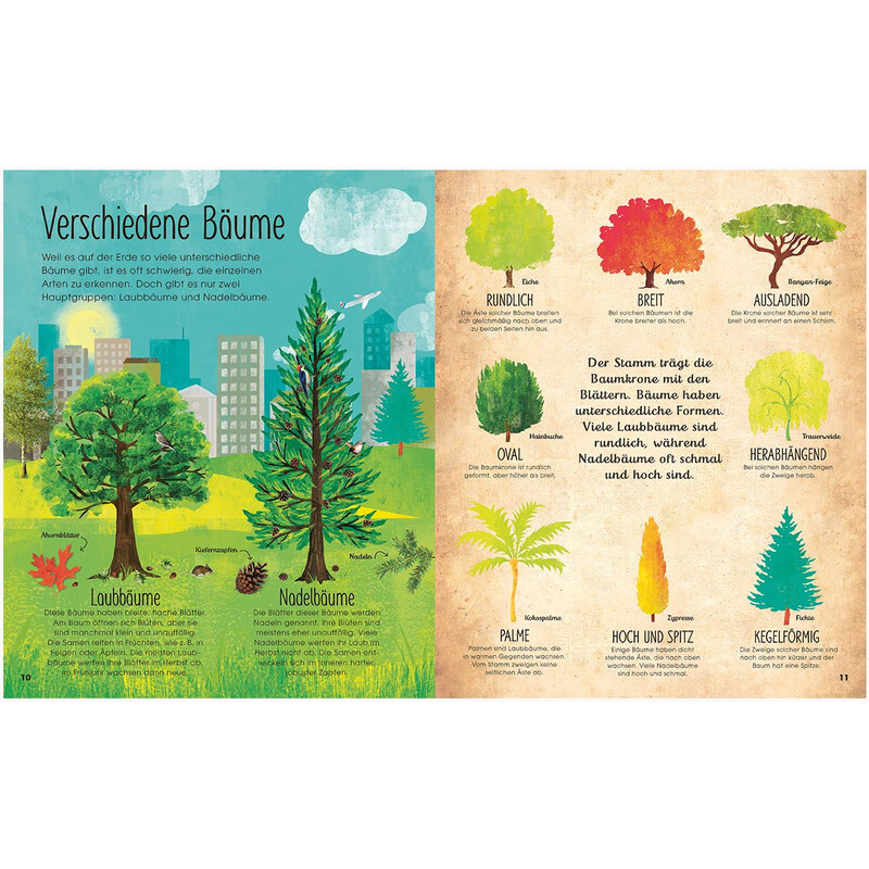 Dorling Kindersley Bäume