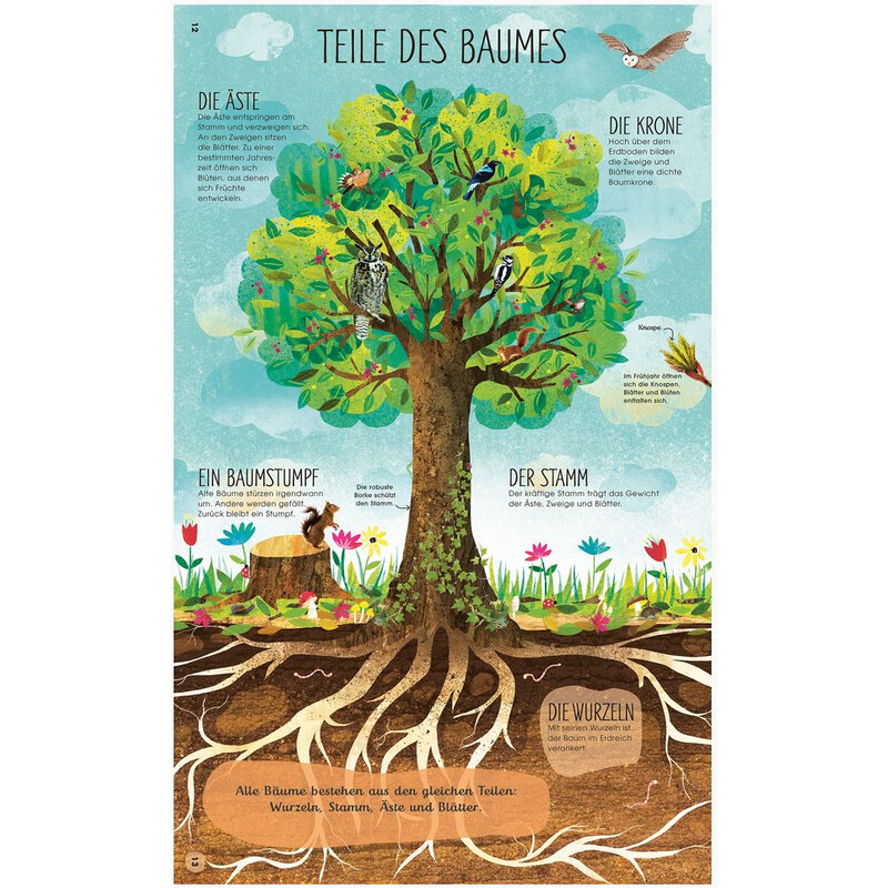 Dorling Kindersley Bäume