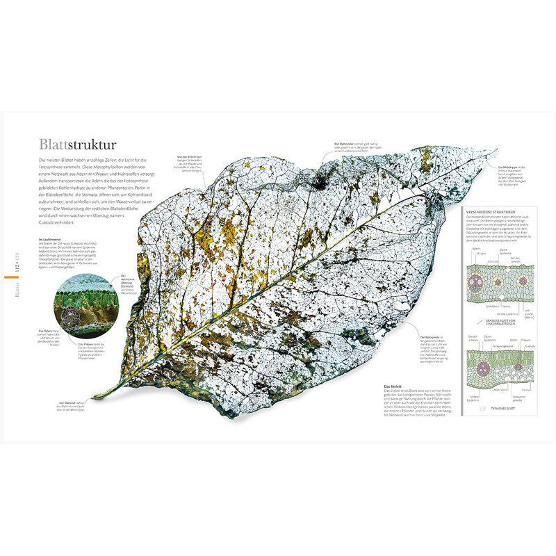 Dorling Kindersley Flora