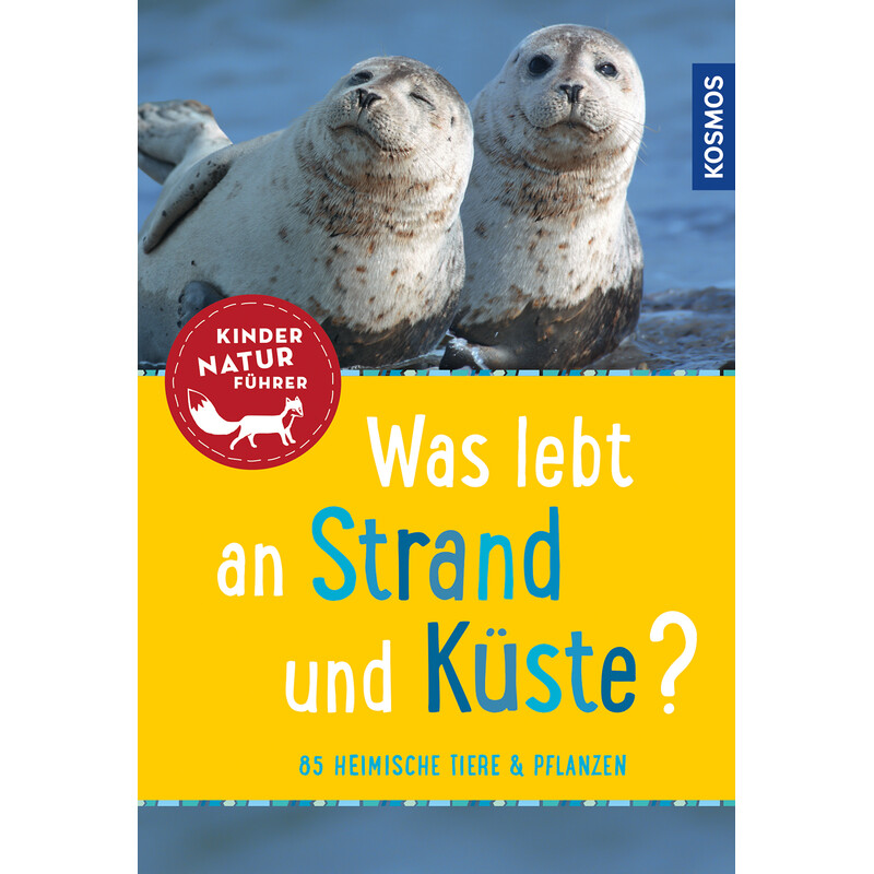 Kosmos Verlag Was lebt an Strand und Küste?