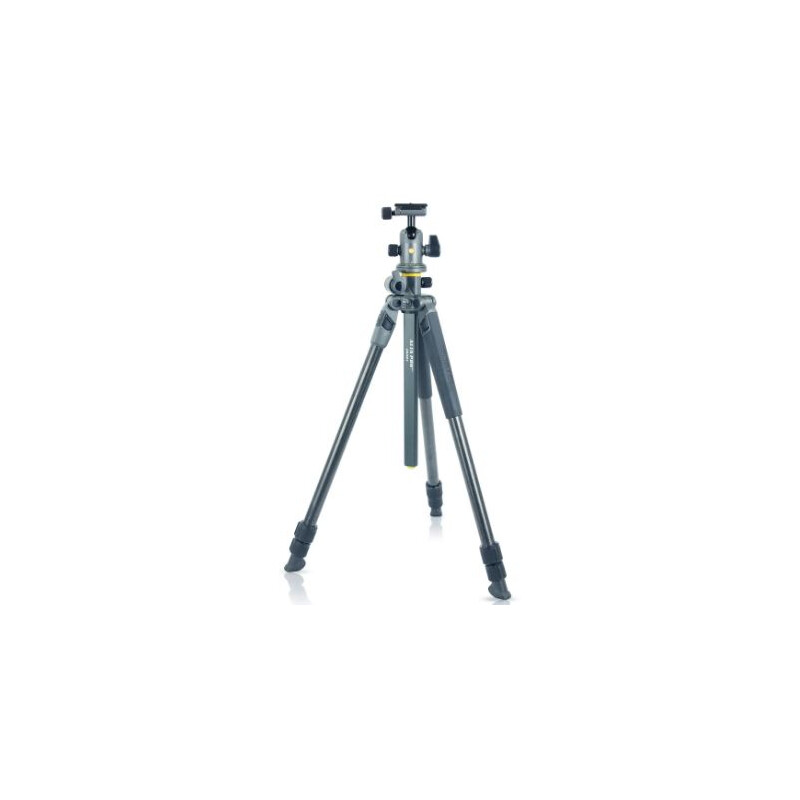 Vanguard Carbon statief Alta Pro 2+ 263CB 100