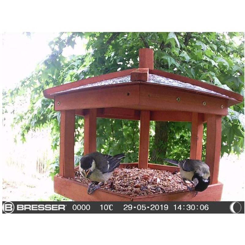 Bresser Wildlife camera SFC-1 voor kleine dieren en vogels