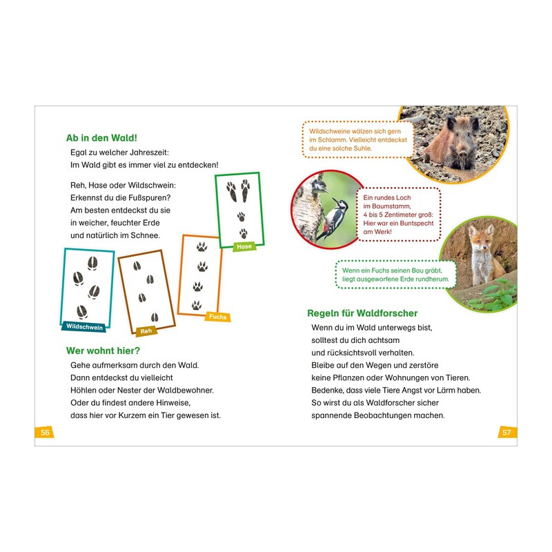 Tessloff-Verlag WAS IST WAS Eerste Lezing: Bos