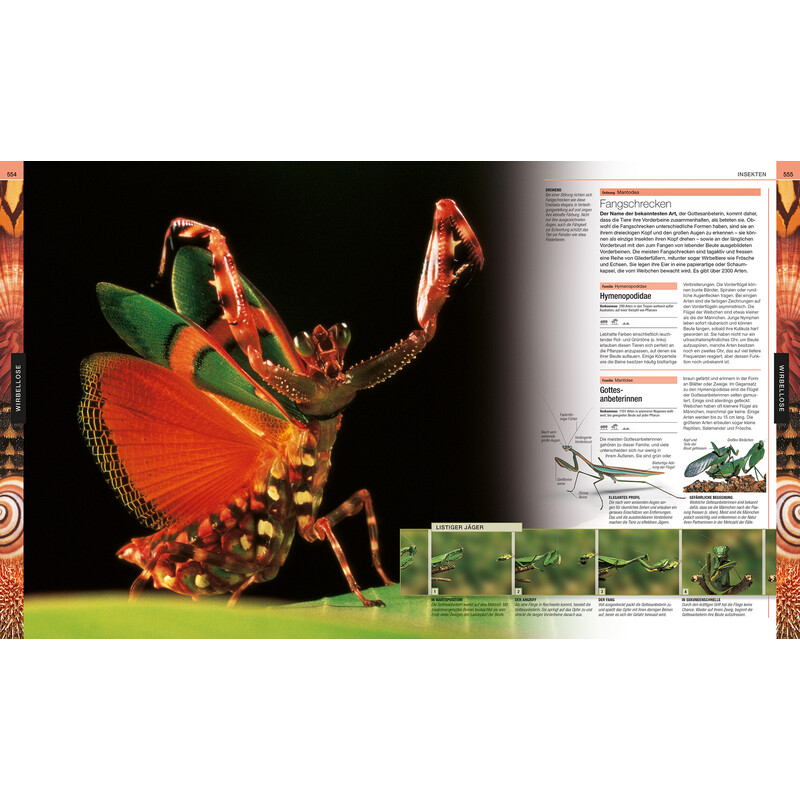 Dorling Kindersley Dieren