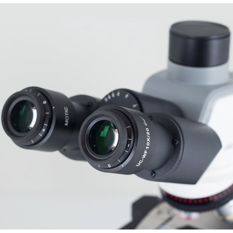 Motic Microscoop Panthera E2, trinoculair, HF, INFINITY, plan achro., 40x-1000x, vast Koehl.LED